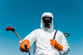 Best Bee and Wasp Removal  in Cvallis, OR